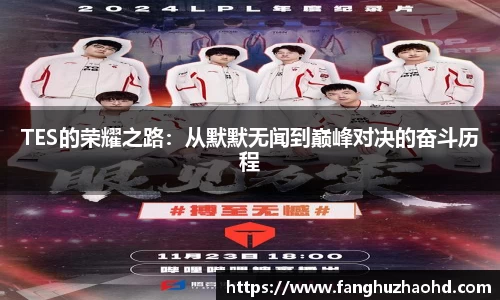 TES的荣耀之路:从默默无闻到巅峰对决的奋斗历程